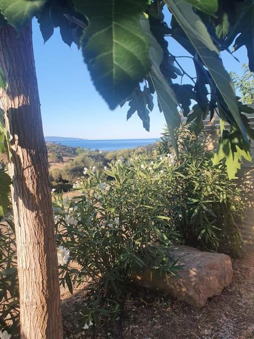 Studio Mitoyen A La Campagne Vue Sur La Mer Cargèse Exterior foto